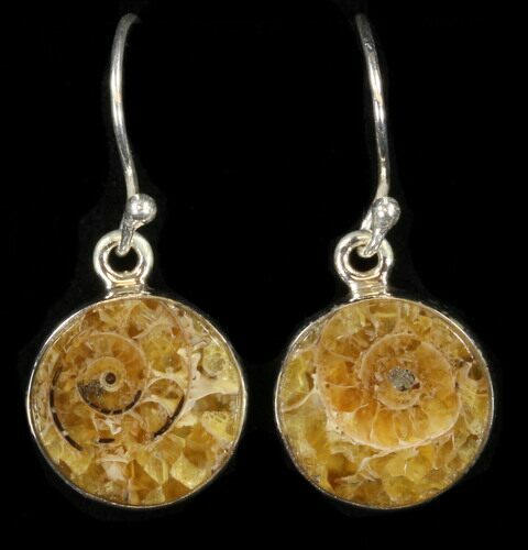 Fossil Ammonite Earrings - Sterling Silver #38128